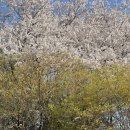 초안산도자기체험장 | 초안산 도자기체험 수령후기