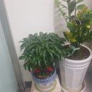 덕산아내세탁 이미지