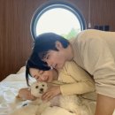 머무름 펫 이미지