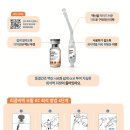 에코 켄넬 이미지