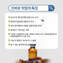 약대한방병원 이미지