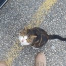 하북주유소 이미지