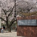 백천사 | [사천]백천사 근처 갤러리 카페 라안 RAAHN 후기