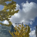 세븐일레븐 판교아이스퀘어점 | 분당 판교 밝은홀 W스퀘어 웨딩홀 그레이스홀 하객 솔직후기