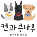 켄과콩나무 네이버블로그