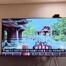 브라운도트 공항신도시점 | 인천공항 비즈니스 호텔 브라운도트 공항신도시점 운서역 근처 숙소 추천