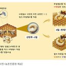 주름 개선 효과 ‘로열젤리’ 화장품…농진청, 특허 출원·상품화 이미지