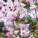 남미륵사 이미지