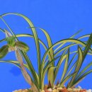 자산동244 이미지