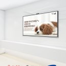 삼성종합동물병원 이미지