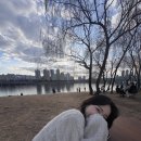 뽀독뽀독 이미지