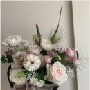 에끌로르