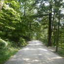 김용사 주차장 이미지