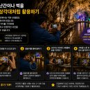 환선굴 동굴여행｜스마트폰 사진촬영 노하우, 어두운 동굴에서도 선명하고 분위기 있게 촬영하는 방법! 어랑 김주호 특강 이미지