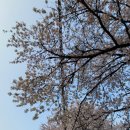 옥천톨게이트주유소 네이버블로그