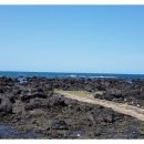 애월오후 민박 이미지