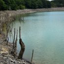 산장목장 이미지