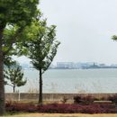 영종하늘도시16호 근린공원 내 이미지