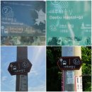 대선로2 이미지