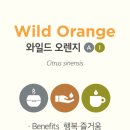 하늘빛정신건강의학과의원 이미지