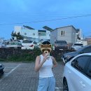 씨와이엘 이미지