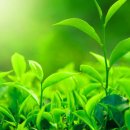 다원산업 이미지