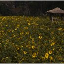 고창농장 이미지