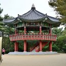 청사포공원 해월정 이미지