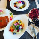 거창농장 | 도심을 벗어나 평화롭게 아이들과 힐링할수 있는 창포원맛집 거창카페 이수미팜베리