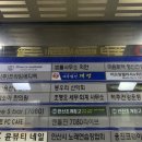 미네르바에스테틱&뷰티크레딧