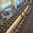 덤벨, 덤벨 다이 일괄 판매 합니다. 총합 874kg 키로당 천원도 안합니다. 이미지
