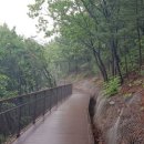 무장애숲 이미지