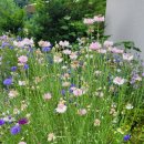 대대리마을회관 이미지