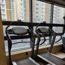 피트니스247 | 금호동헬스장 247피트니스 솔직 후기 운동 공간이 이렇게 쾌적할 수 있나 놀라웠어요