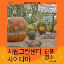꿈에카센타 | 사이타마 가와구치 시립 그린센터 할로윈 분위기