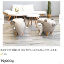 펫하우스 동물병원 이미지