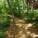 서봉산산림욕장 이미지