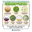 그린마크로 이미지