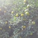 신흥마을회관 내 이미지