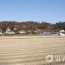 안심1리 이미지