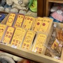 너굴소굴