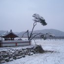 충신 이상길 정려 | 충숙공 이상길 정려