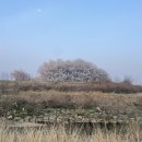 하양생활체육공원 이미지