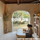 오미2동 | 제주 서귀포시 아기자기한 제주감성카페 카페 오마이살롱