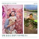 용문산관광지(주차장화장실) | 4월 가족여행코스 추천 돌아기랑 다녀온 양평 나들이 용문산 관광지 당일치기