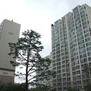 신촌마을 이미지