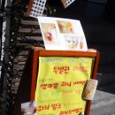 하늬마을나무