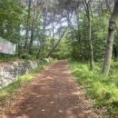 미륵산 연수원 이미지