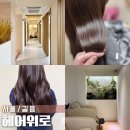 성북-길음-3309 | 길음 미용실 헤어위로 가람 원장 겨울맞이 퍼스널 톤다운 염색