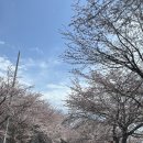 블루가(주) | [르네블루 바이 쏠비치] ★내돈내산★ 숙박 및 조식 후기